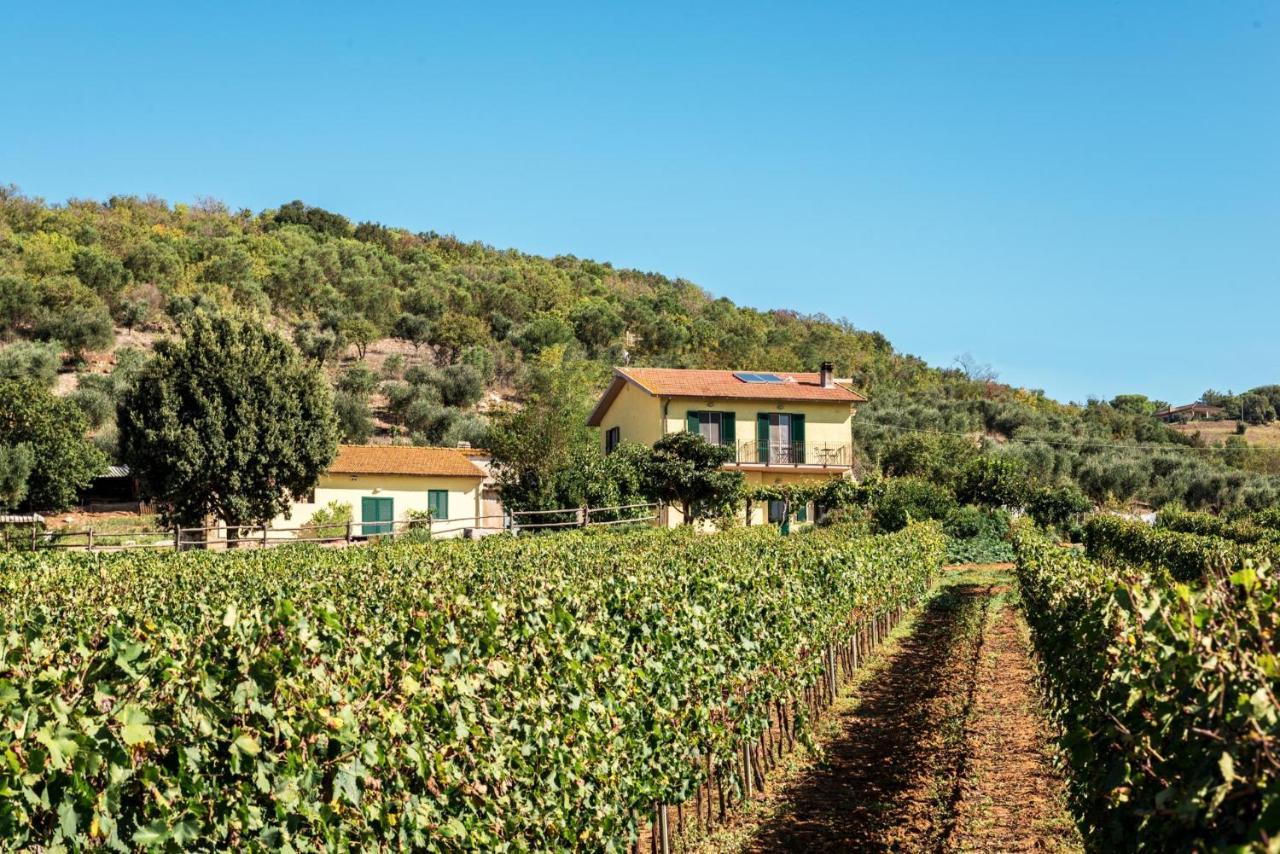 Poggiolivi Agriturismo Bio In Maremma Alberese Ngoại thất bức ảnh